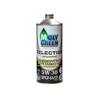 MOLYGREEN SELECTION 5W30 SP/GF-6A/CF 10031